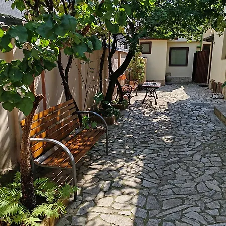 Guest house Arthouse Lucrezia Timisoara