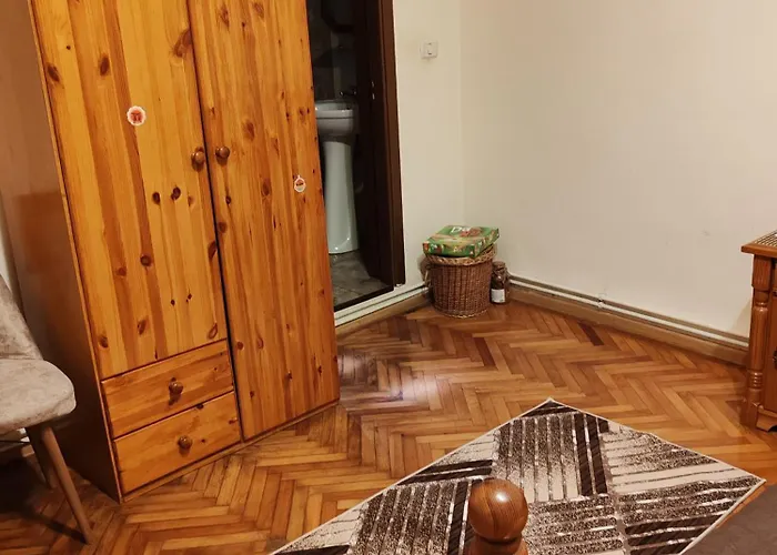 Penzion Arthouse Lucrezia Temešvár