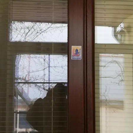 Arthouse Lucrezia Τιμισοάρα