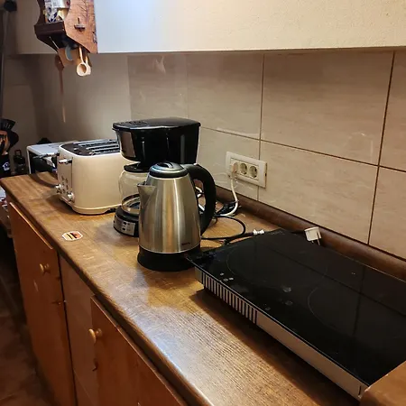 Πανσιόν Arthouse Lucrezia Τιμισοάρα