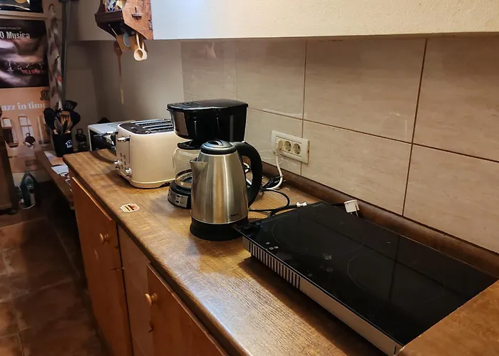 Pensionat Arthouse Lucrezia Timişoara